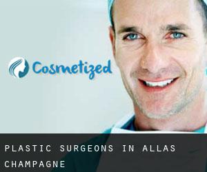 Plastic Surgeons in Allas-Champagne