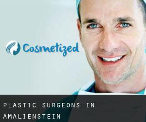 Plastic Surgeons in Amalienstein