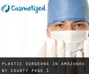 Plastic Surgeons in Amazonas by County - page 1