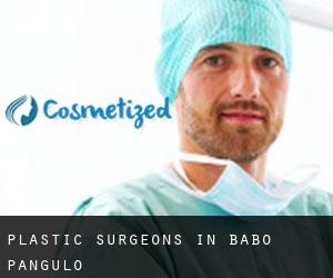 Plastic Surgeons in Babo-Pangulo