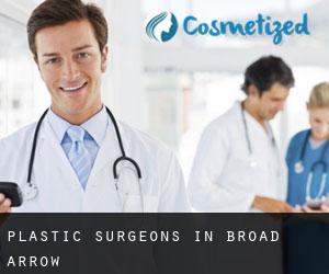 Plastic Surgeons in Broad Arrow