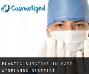Plastic Surgeons in Cape Winelands District Municipality