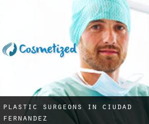 Plastic Surgeons in Ciudad Fernández