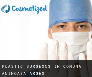 Plastic Surgeons in Comuna Aninoasa (Argeş)