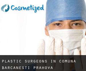 Plastic Surgeons in Comuna Bărcăneşti (Prahova)