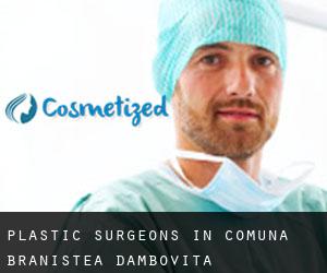 Plastic Surgeons in Comuna Braniştea (Dâmboviţa)