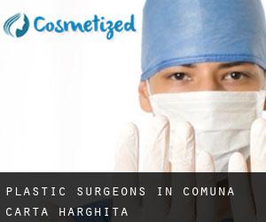 Plastic Surgeons in Comuna Cârţa (Harghita)