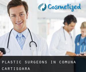 Plastic Surgeons in Comuna Cârţişoara