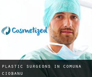 Plastic Surgeons in Comuna Ciobanu