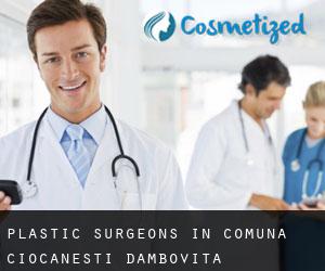 Plastic Surgeons in Comuna Ciocăneşti (Dâmboviţa)