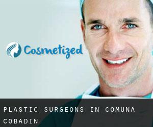 Plastic Surgeons in Comuna Cobadin
