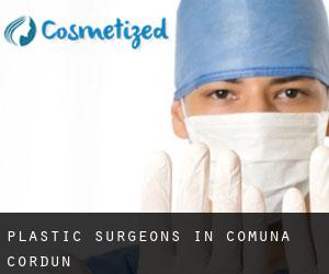 Plastic Surgeons in Comuna Cordun