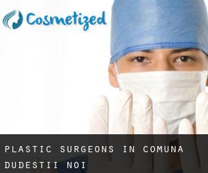 Plastic Surgeons in Comuna Dudeştii Noi