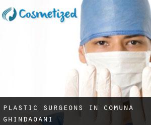 Plastic Surgeons in Comuna Ghindăoani