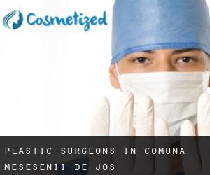 Plastic Surgeons in Comună Meseşenii de Jos