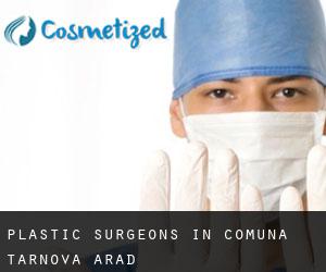 Plastic Surgeons in Comuna Târnova (Arad)