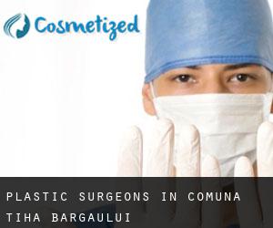 Plastic Surgeons in Comuna Tiha Bârgăului