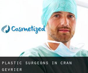 Plastic Surgeons in Cran-Gevrier