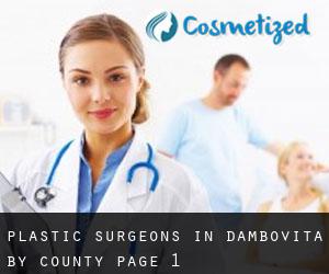 Plastic Surgeons in Dâmboviţa by County - page 1