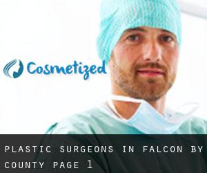 Plastic Surgeons in Falcón by County - page 1
