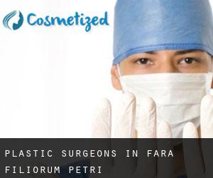Plastic Surgeons in Fara Filiorum Petri