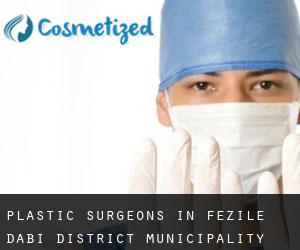 Plastic Surgeons in Fezile Dabi District Municipality