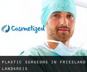 Plastic Surgeons in Friesland Landkreis