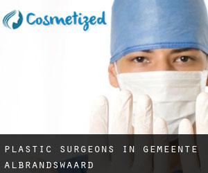 Plastic Surgeons in Gemeente Albrandswaard