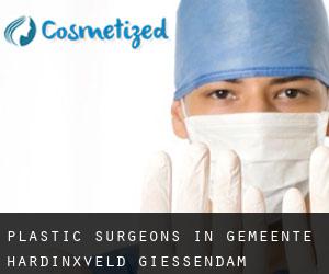 Plastic Surgeons in Gemeente Hardinxveld-Giessendam