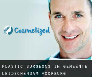 Plastic Surgeons in Gemeente Leidschendam-Voorburg