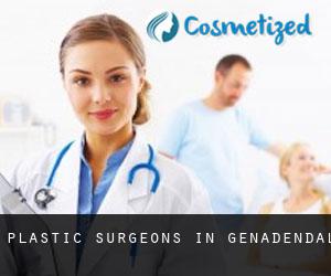 Plastic Surgeons in Genadendal