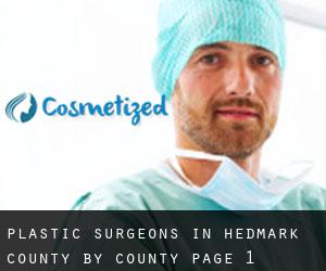 Plastic Surgeons in Hedmark county by County - page 1