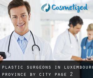 Plastic Surgeons in Luxembourg Province by city - page 2