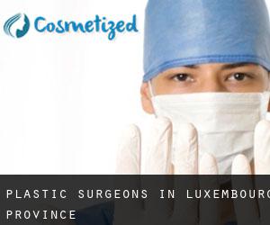 Plastic Surgeons in Luxembourg Province