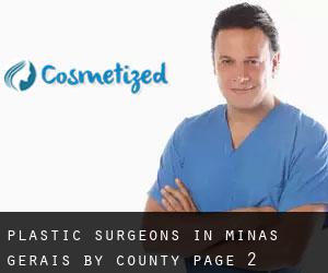 Plastic Surgeons in Minas Gerais by County - page 2