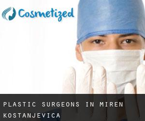 Plastic Surgeons in Miren-Kostanjevica