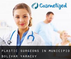 Plastic Surgeons in Municipio Bolívar (Yaracuy)