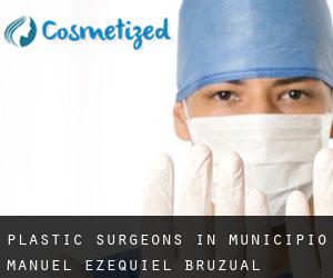 Plastic Surgeons in Municipio Manuel Ezequiel Bruzual