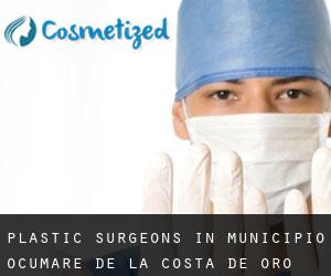 Plastic Surgeons in Municipio Ocumare de La Costa de Oro