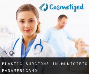 Plastic Surgeons in Municipio Panamericano