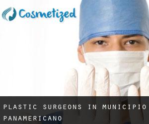 Plastic Surgeons in Municipio Panamericano