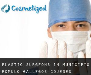 Plastic Surgeons in Municipio Rómulo Gallegos (Cojedes)