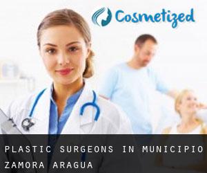 Plastic Surgeons in Municipio Zamora (Aragua)