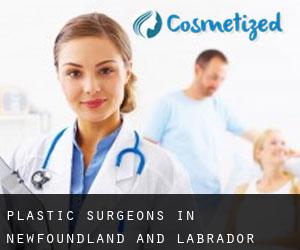 Plastic Surgeons in Newfoundland and Labrador