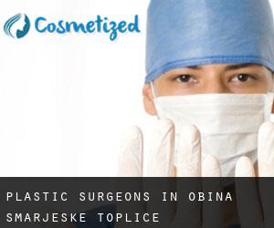 Plastic Surgeons in Občina Šmarješke Toplice