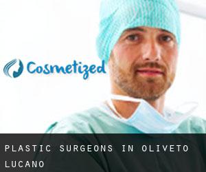 Plastic Surgeons in Oliveto Lucano