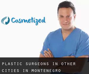 Plastic Surgeons in Other Cities in Montenegro