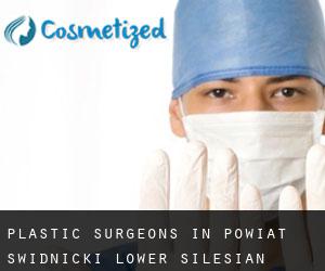 Plastic Surgeons in Powiat świdnicki (Lower Silesian Voivodeship)