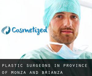 Plastic Surgeons in Province of Monza and Brianza