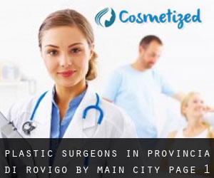 Plastic Surgeons in Provincia di Rovigo by main city - page 1